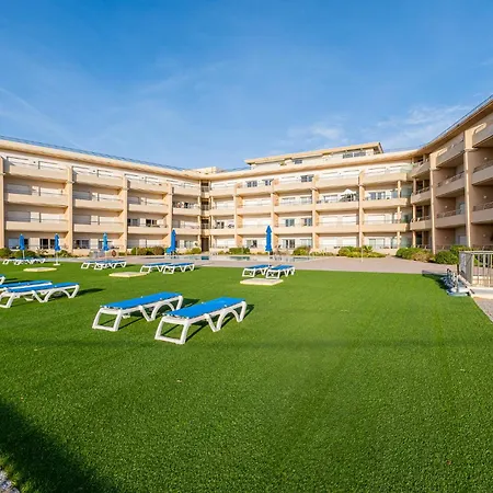 Barracuda Oura Dream 阿尔布费拉