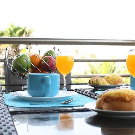 Barracuda Oura Dream *