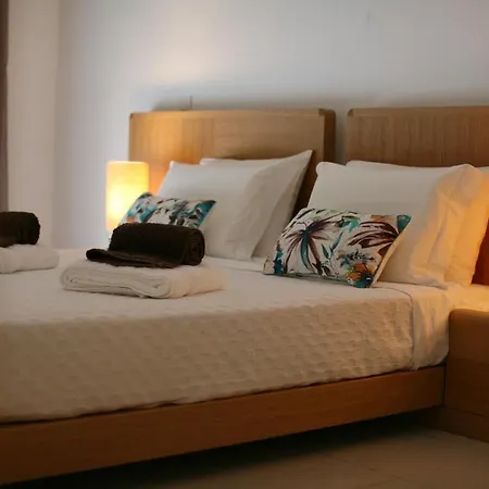 Barracuda Oura Dream 阿尔布费拉