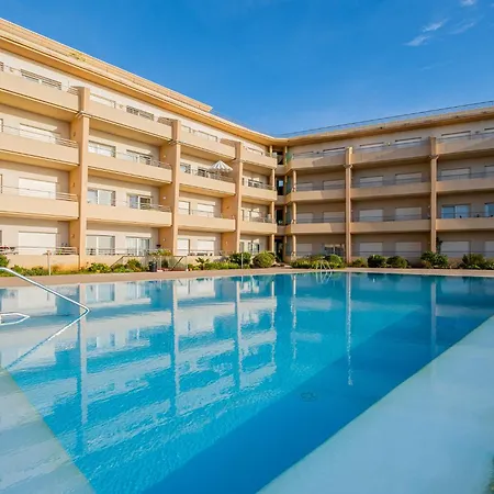 Barracuda Oura Dream