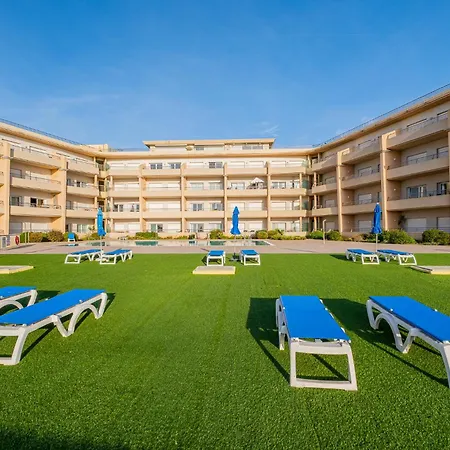 Barracuda Oura Dream *