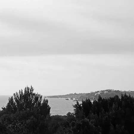 Ferienhaus Barracuda Oura Dream *