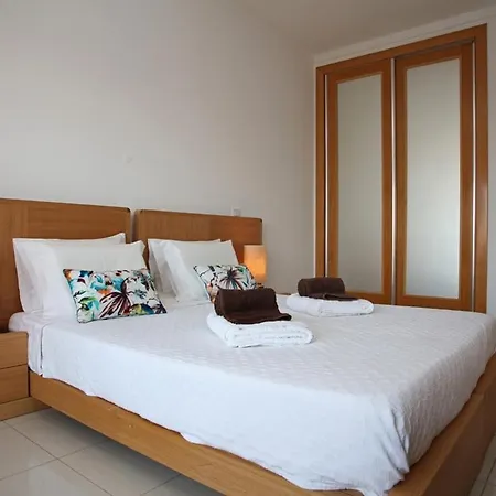 Barracuda Oura Dream *