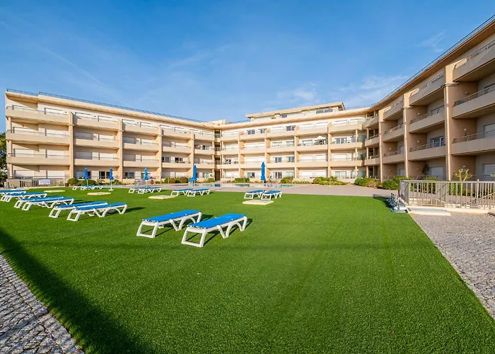 Barracuda Oura Dream 알부페이라