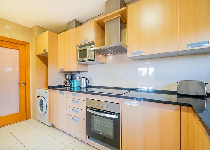 Barracuda Oura Dream * 알부페이라