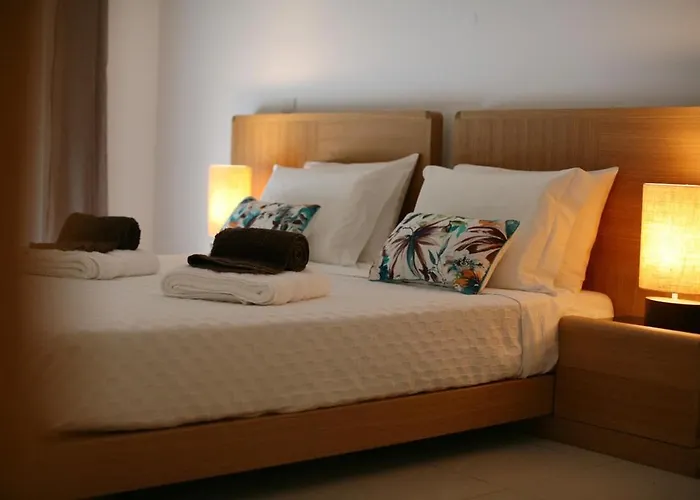 Barracuda Oura Dream 알부페이라