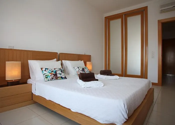 Barracuda Oura Dream *