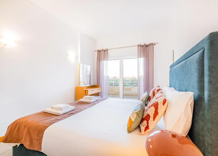 Barracuda Oura Dream *